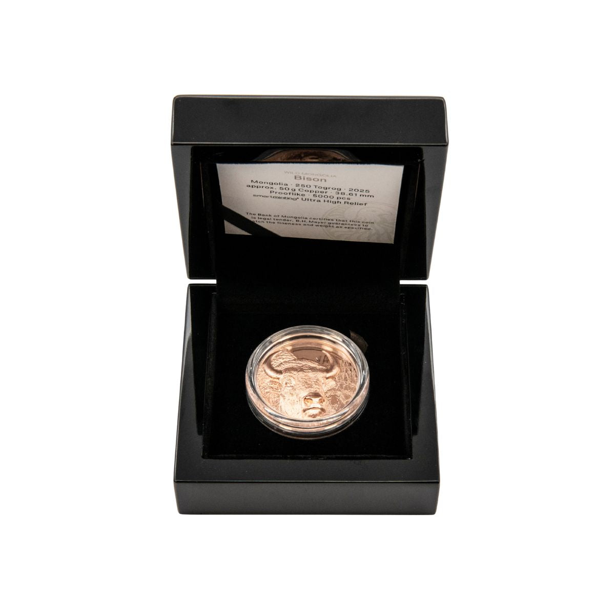 Wild Mongolia 2025 250T Bison Ultra High Relief Copper Proof Coin
