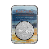 Australia Kangaroo 2025 $1 1oz Silver Frosted Uncirculated Coin