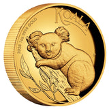 Australia Koala 2025 $100 High Relief 1oz Gold Proof Coin