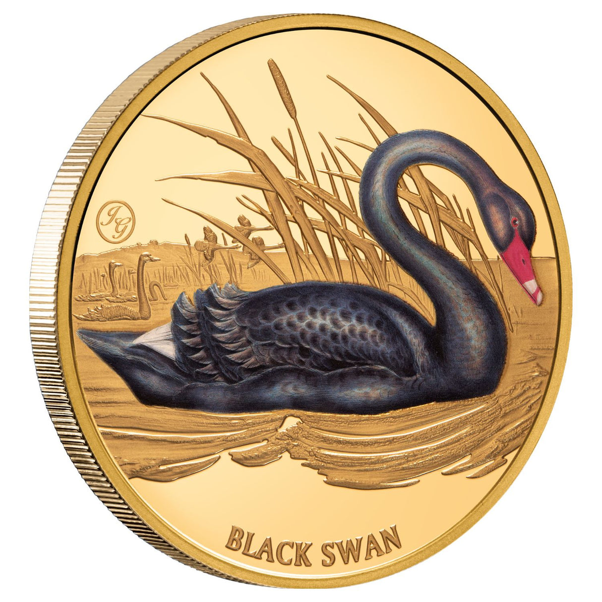 Birds of Australia 2026 $100 Black Swan 1oz Gold Proof Coin