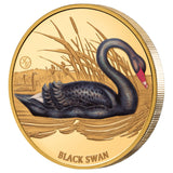 Birds of Australia 2026 $100 Black Swan 1oz Gold Proof Coin