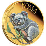 Australia Koala 2025 $100 Colour 1oz Gold Proof Coin