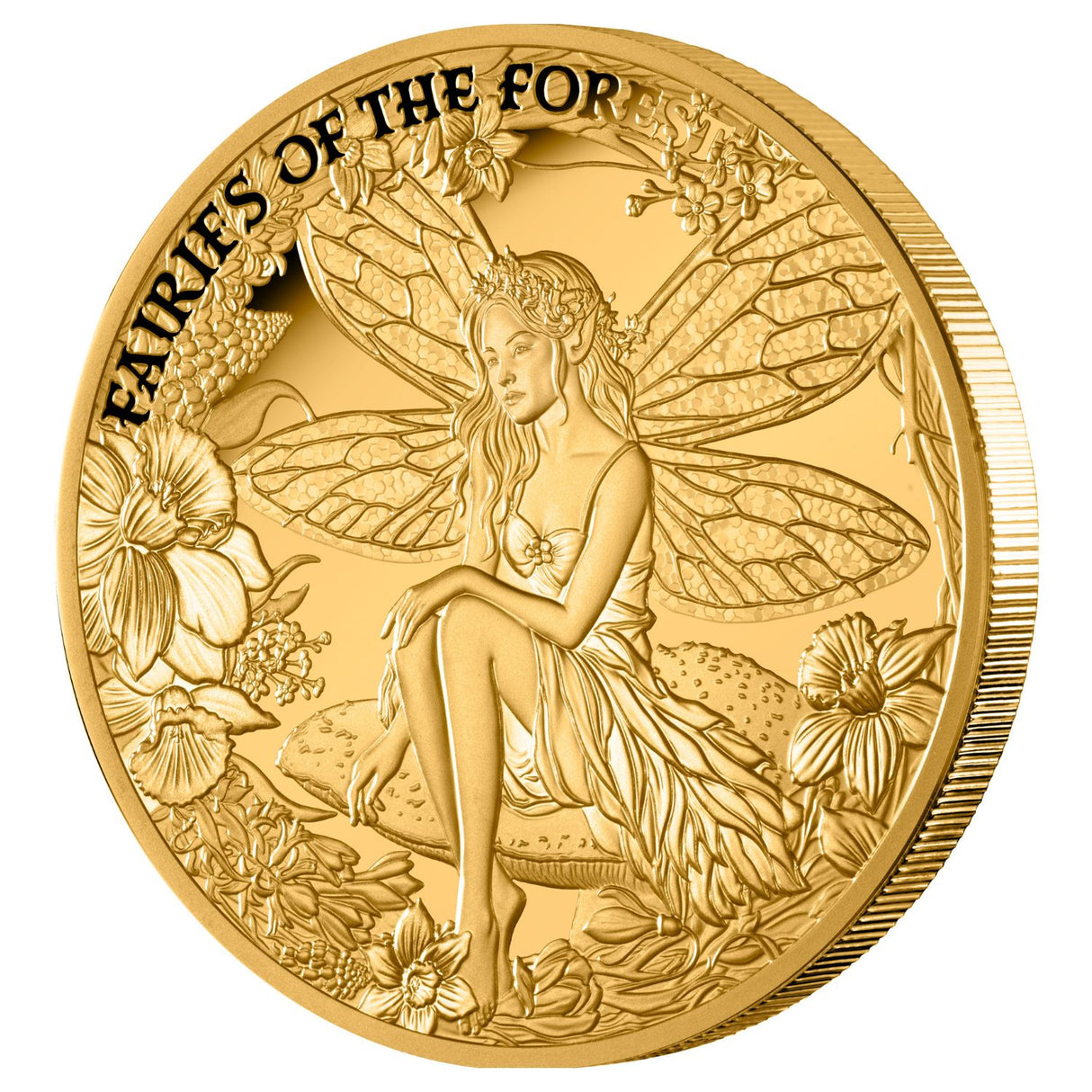 Fairies of the Forest 2026 $100 1oz Gold Proof Coin