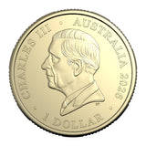 Australia Winter Paralympics 2026 $1 Colour Aluminium-Bronze Uncirculated Coin