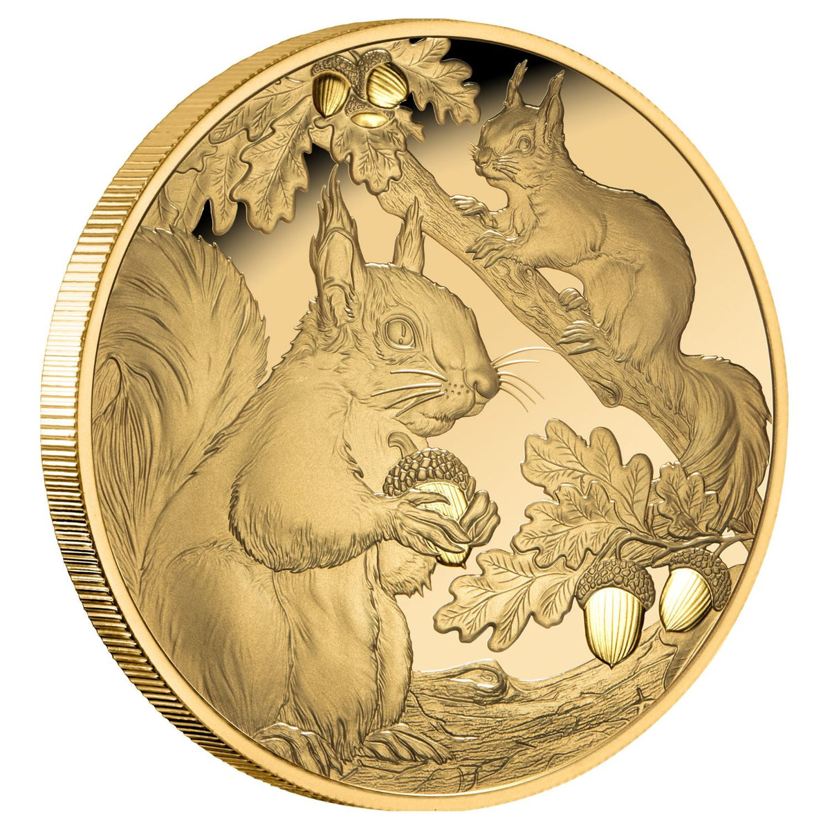 Squirrels 2026 $100 1oz Gold Proof Coin