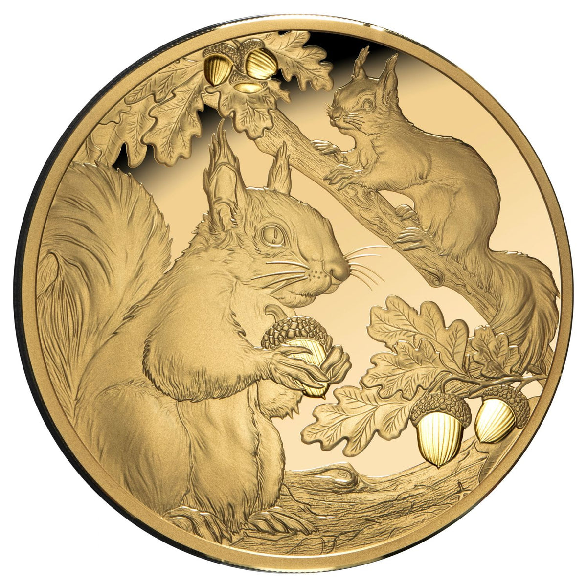 Squirrels 2026 $100 1oz Gold Proof Coin