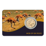 Australia Mob of Six Roos 2026 $1 Aluminium-Bronze Uncirculated Coin Pack