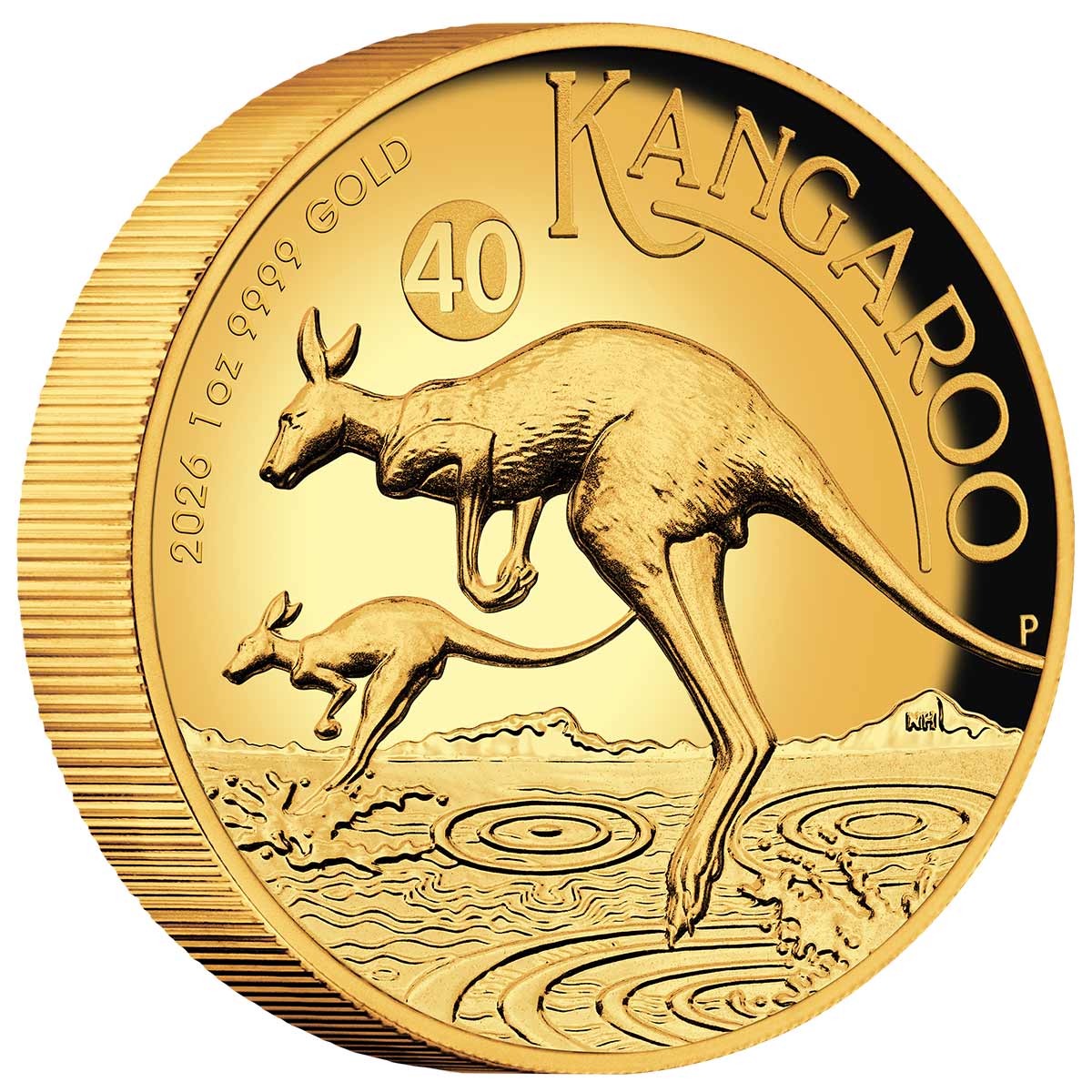 Australia Kangaroo 2026 $100 High Relief 1oz Gold Proof Coin