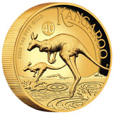 Australia Kangaroo 2026 $100 High Relief 1oz Gold Proof Coin