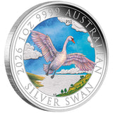 Australia Swan 2026 $1 Colour 1oz Silver Uncirculated Coin