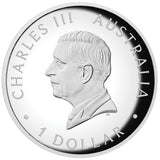 Australia Kangaroo 2026 $1 Colour High Relief 1oz Silver Proof Coin