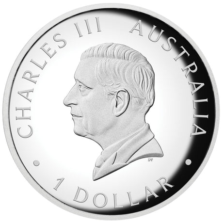 Australia Kangaroo 2026 $1 Colour High Relief 1oz Silver Proof Coin