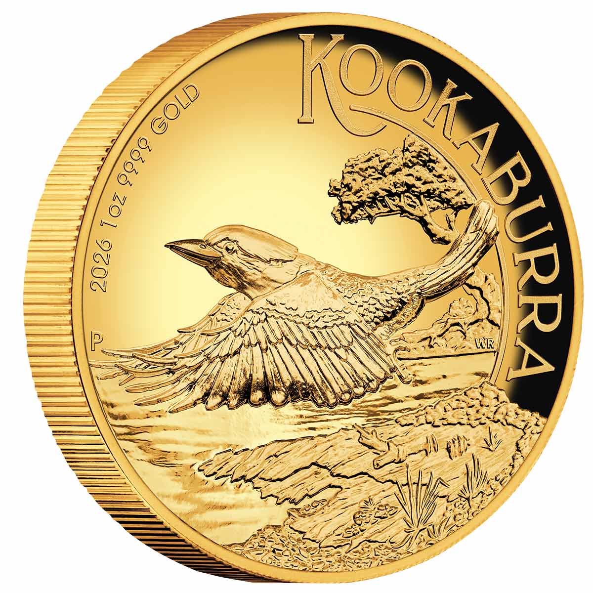 Australia Kookaburra 2026 $100 High Relief 1oz Gold Proof Coin