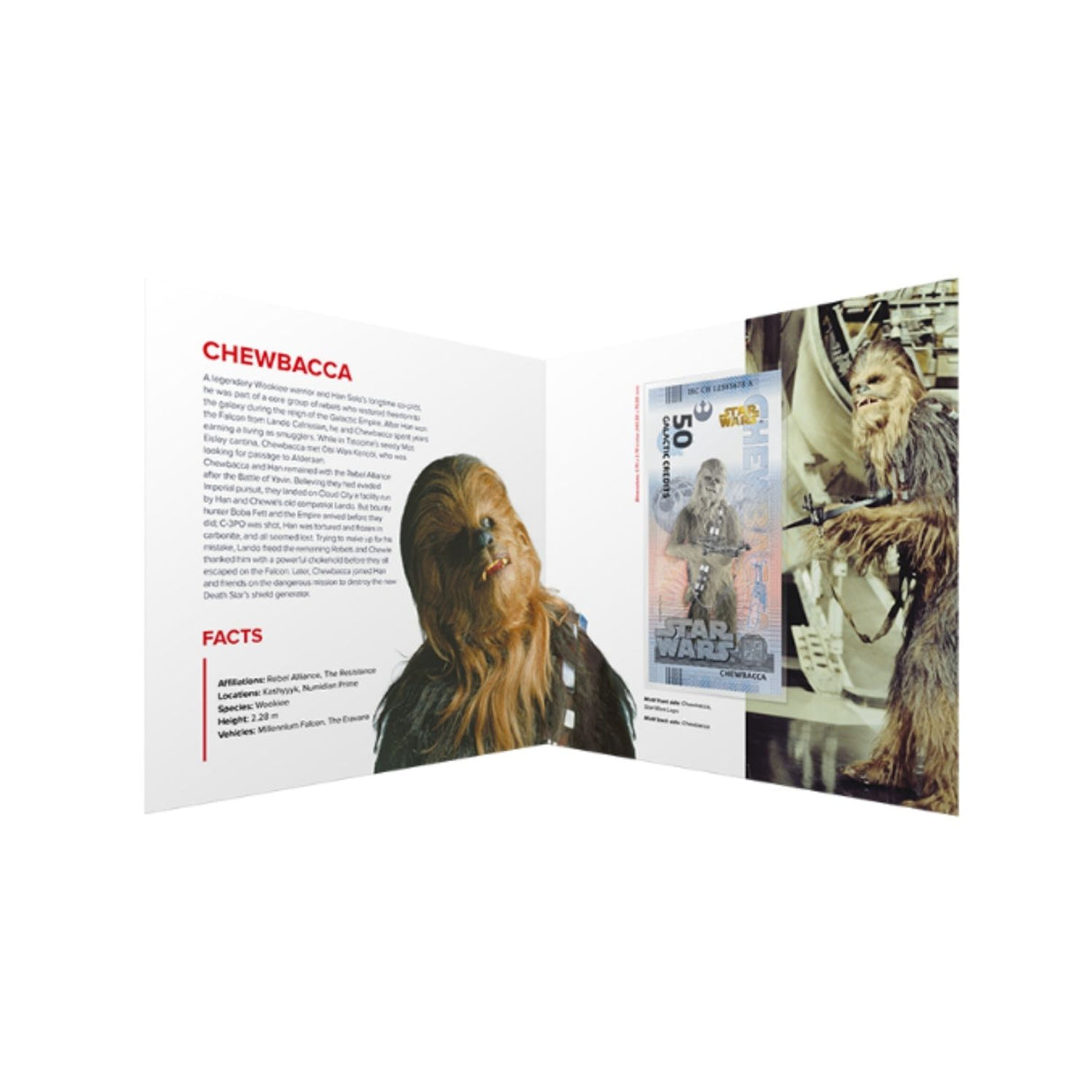 Official DisneyTM Souvenir Notes STAR WARS - Chewbacca