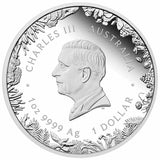 Australia 2026 $1 Wonders of Australia The Outback 1oz Silver Proof Coin
