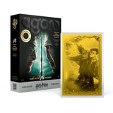 Harry Potter vs Voldemort Coin Blind Box