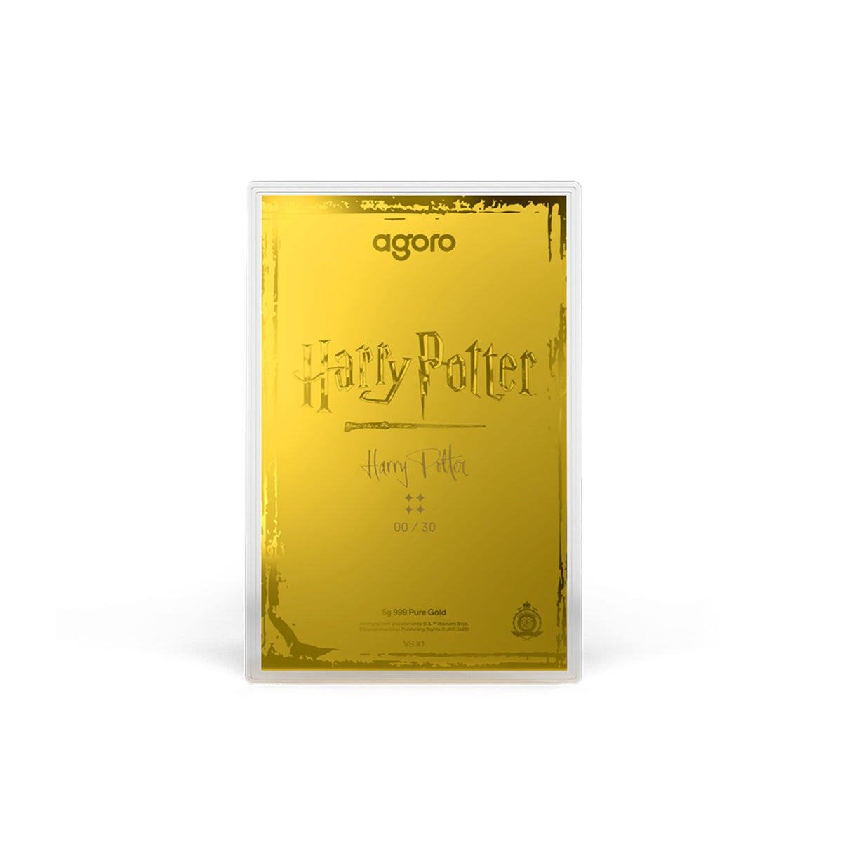 Harry Potter vs Voldemort Coin Blind Box