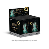 Harry Potter vs Voldemort Coin Blind Box