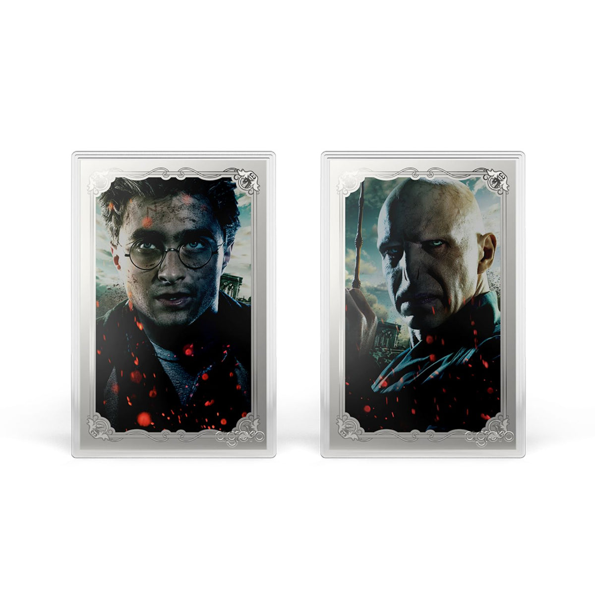 Harry Potter vs Voldemort Coin Blind Box