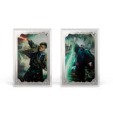 Harry Potter vs Voldemort Coin Blind Box
