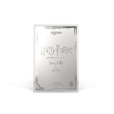 Harry Potter vs Voldemort Coin Blind Box