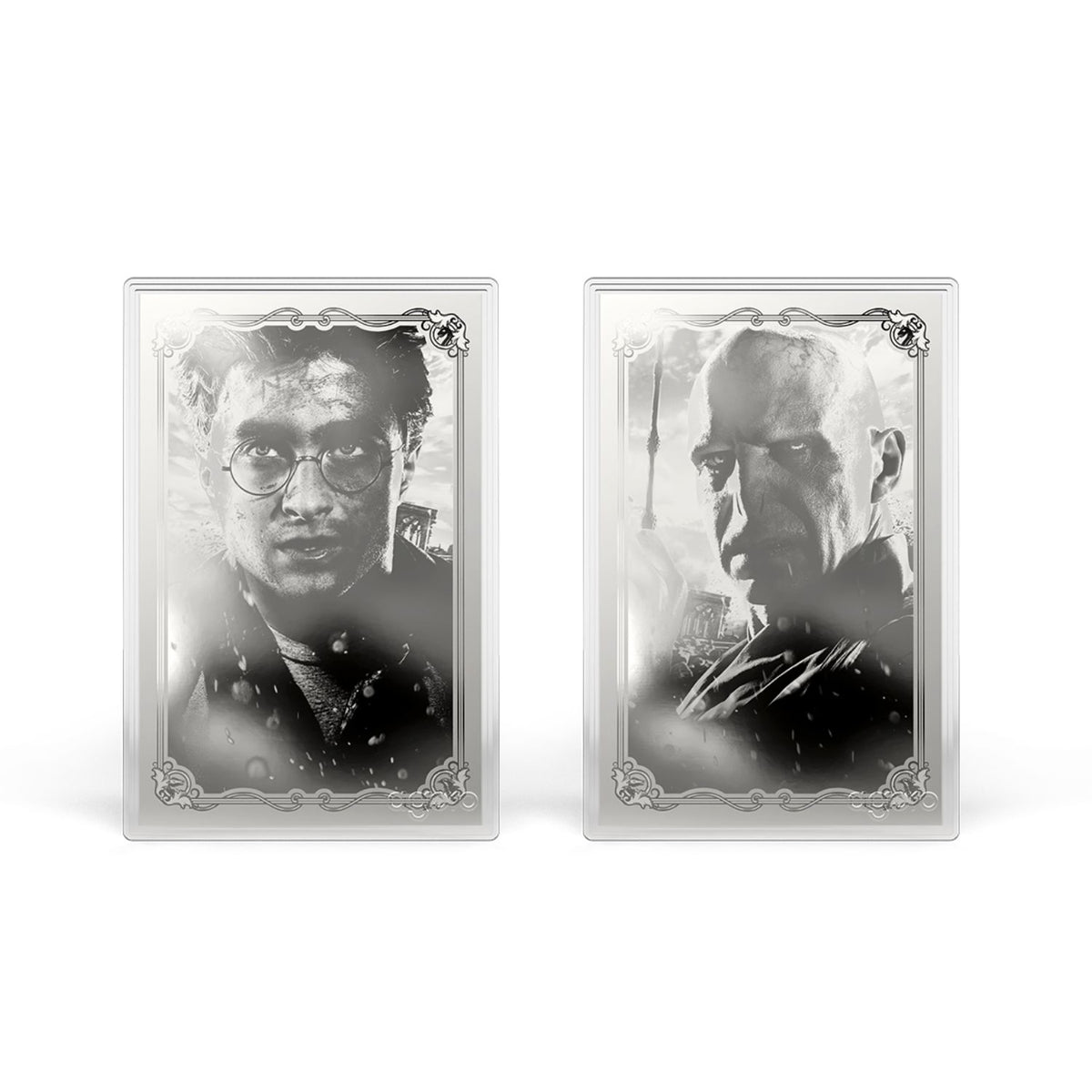 Harry Potter vs Voldemort Coin Blind Box