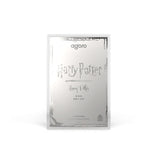 Harry Potter vs Voldemort Coin Blind Box