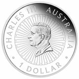 Australia Great Southern Land Nocturnal 2026 $1 Opal 1oz Silver Proof Coin