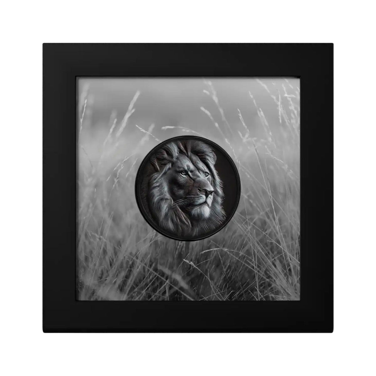 Black & White Lion 2026 $5 Ultra High Relief Obsidian Black 1oz Silver Coin