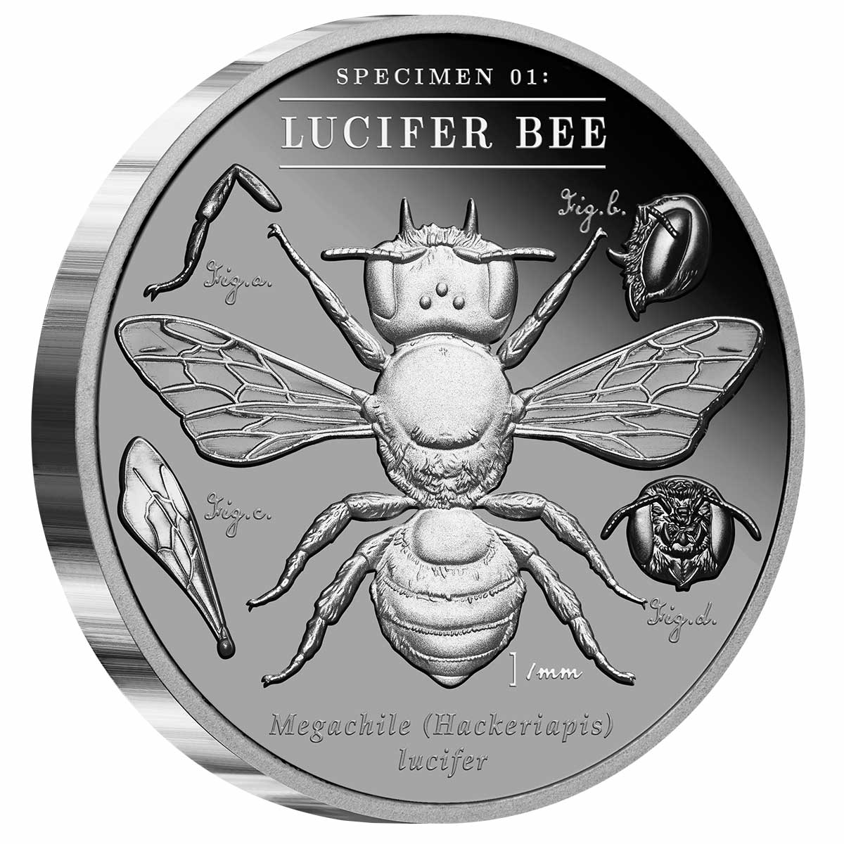 Australia's Dark Bees 2026 $2 Lucifer Bee 2oz Black Proof Coin