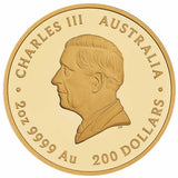 Australia Jewelled Redback Spider 2026 $200 Black Diamond & Ruby 2oz Gold Proof Coin