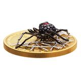Australia Jewelled Redback Spider 2026 $200 Black Diamond & Ruby 2oz Gold Proof Coin