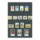 Australia 1978 Year Stamp Set