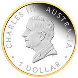 Australia Gold Nugget Program 40th Anniversary 2026 $1 Gold-plated 1oz Silver Proof Coin