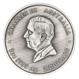 Australia Turtle Yaunati 2026 $2 Colour 2oz Silver Antique Coin