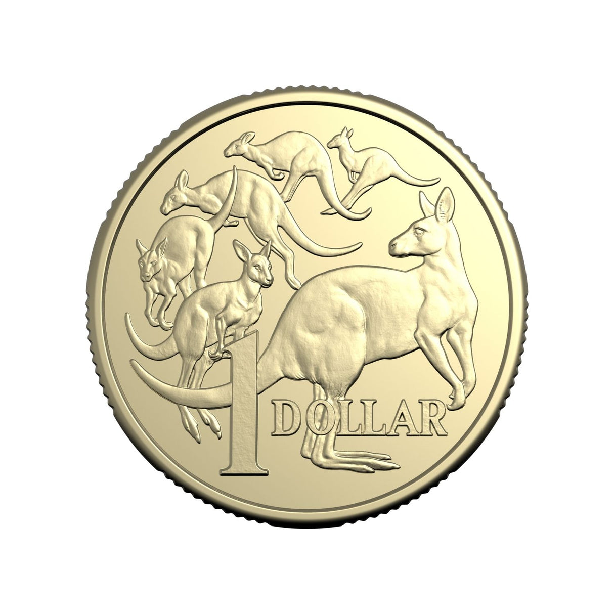 Australia Charles III Mob of Six Roos 2026 $1 Aluminium-Bronze Uncirculated 20-Coin Heads/Heads or Tails/Tails RAM Mint Roll