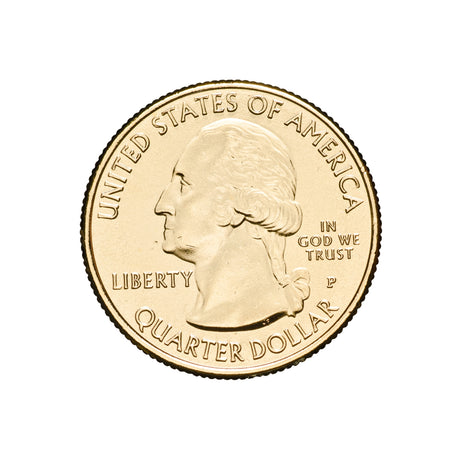 US National Parks 2019 River of No Return Wilderness Gold-plated Coin