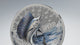Born for Speed Sailfish 2027 $5 Ultra High Relief Colour 1oz Silver Proof Coin