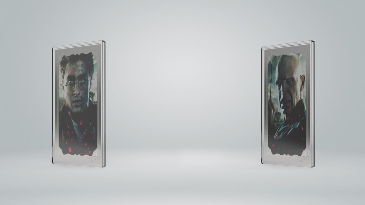 Harry Potter vs Voldemort Coin Blind Box