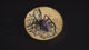 Australia Jewelled Redback Spider 2026 $200 Black Diamond & Ruby 2oz Gold Proof Coin