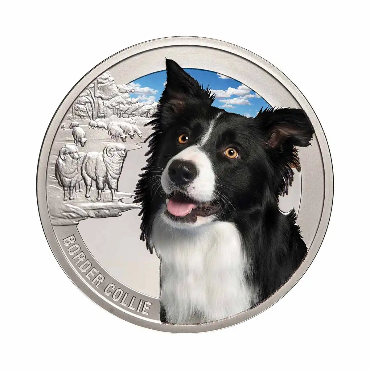 World Dogs Border Collie Silver-plated Prooflike Commemorative