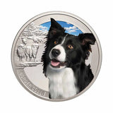 World Dogs Border Collie Silver-plated Prooflike Commemorative