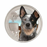 Cattle Dog Silver Prooflike Commemorative