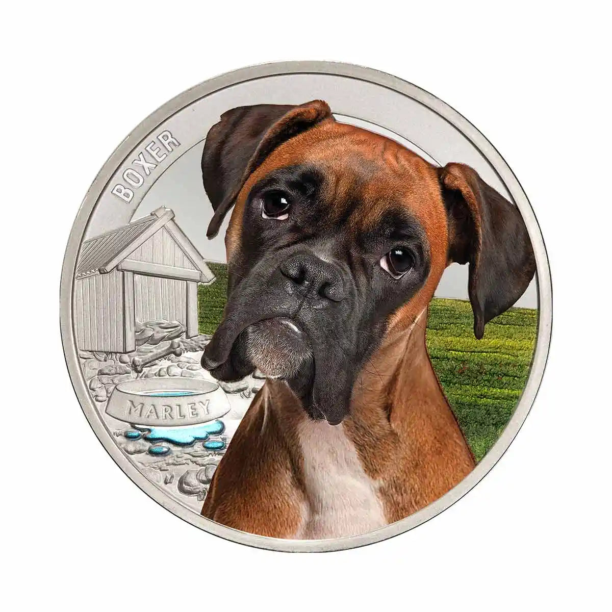 Boxer Silver Prooflike Commemorative