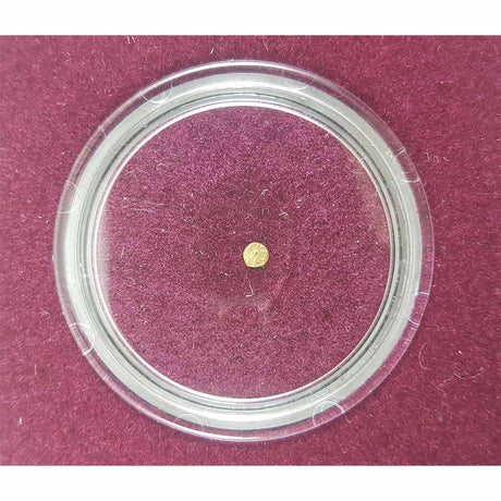 World's Smallest Gold Coin - Bele of India