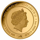 Queen Elizabeth II Coronation 70th Anniversary 2023 $100 Diamond 1oz Gold Proof Coin