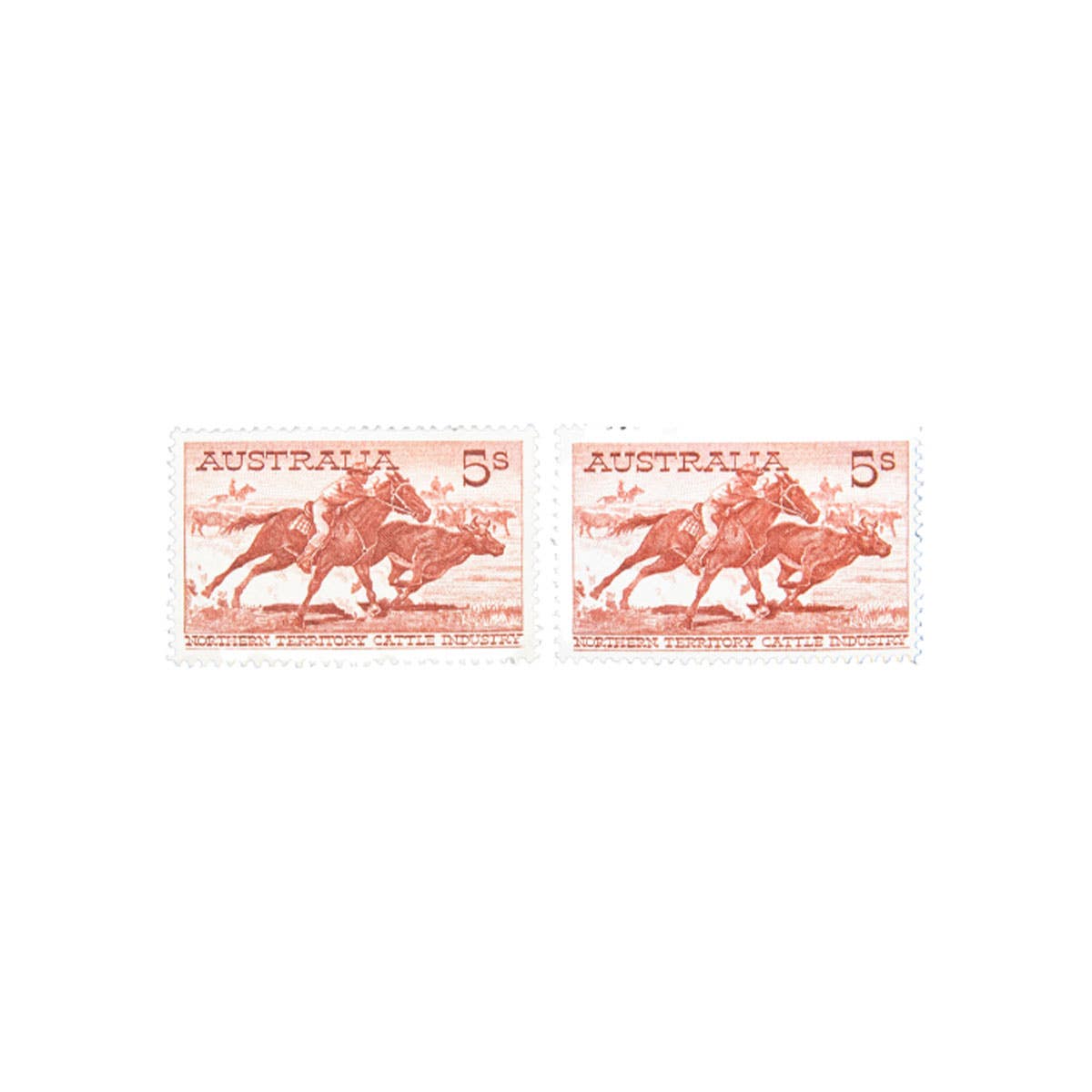 1958-64 5/- Cattle Cream & White Paper Pair Mint Unhinged