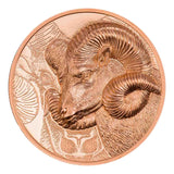 Wild Mongolia 2022 250T Argali Ultra High Relief Copper Prooflike Coin