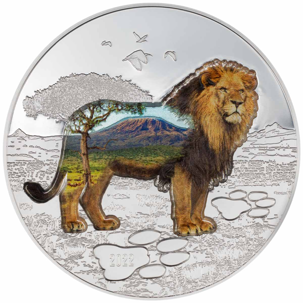 Into The Wild Lion 2022 1000 Togrog 2oz Silver Proof Coin