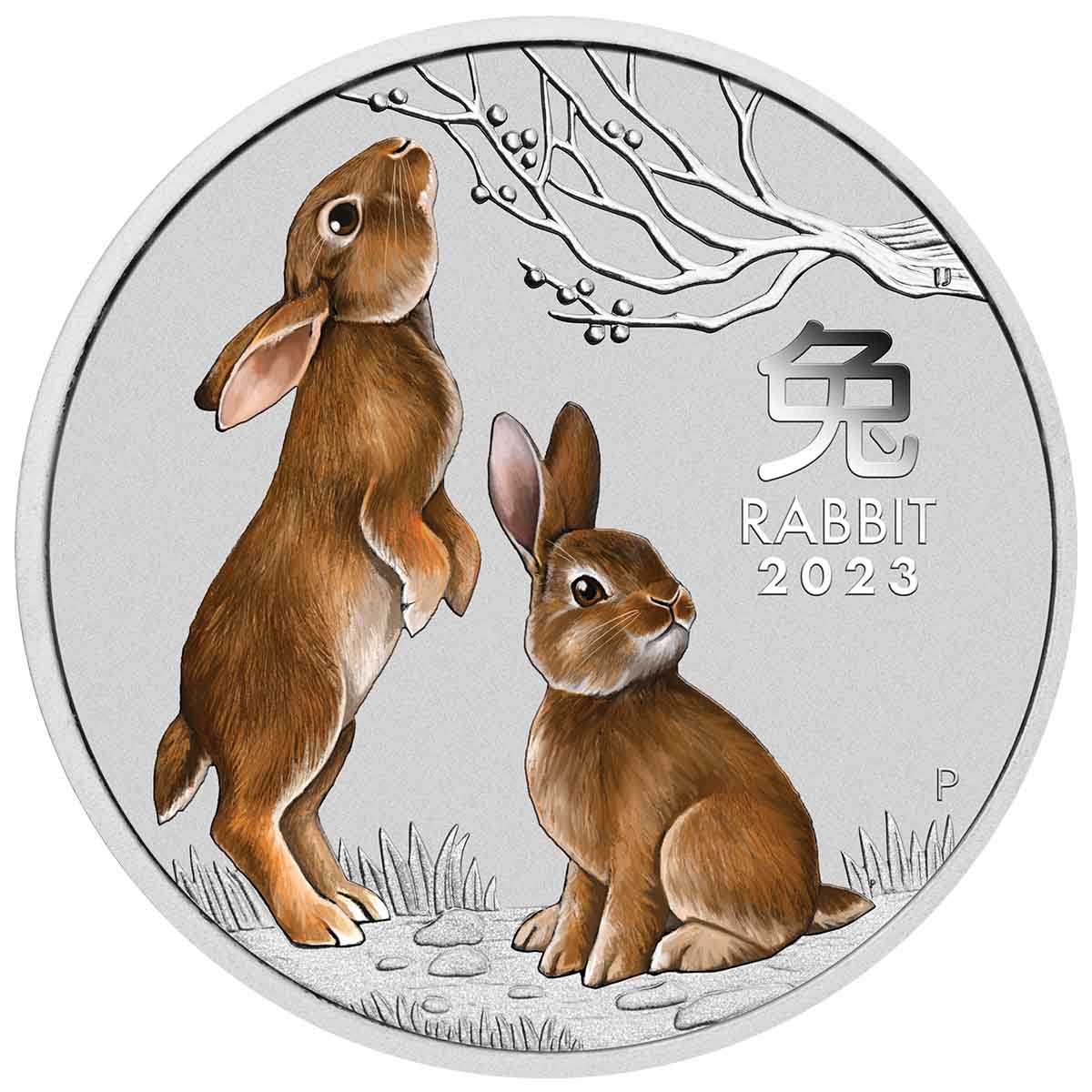 Sydney ANDA Money Expo 2023 25c Year of the Rabbit Colour Silver Brilliant Uncirculated Coin